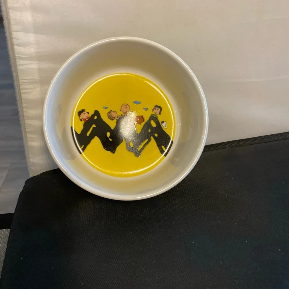 Snoopy peanuts dog dish